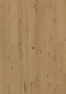 Oak Johan